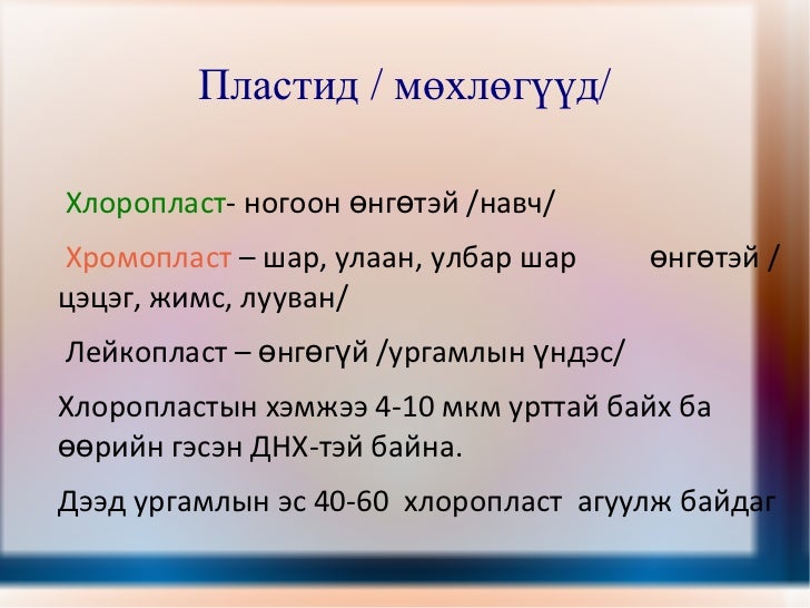 ургамлын эсийн бүтэц