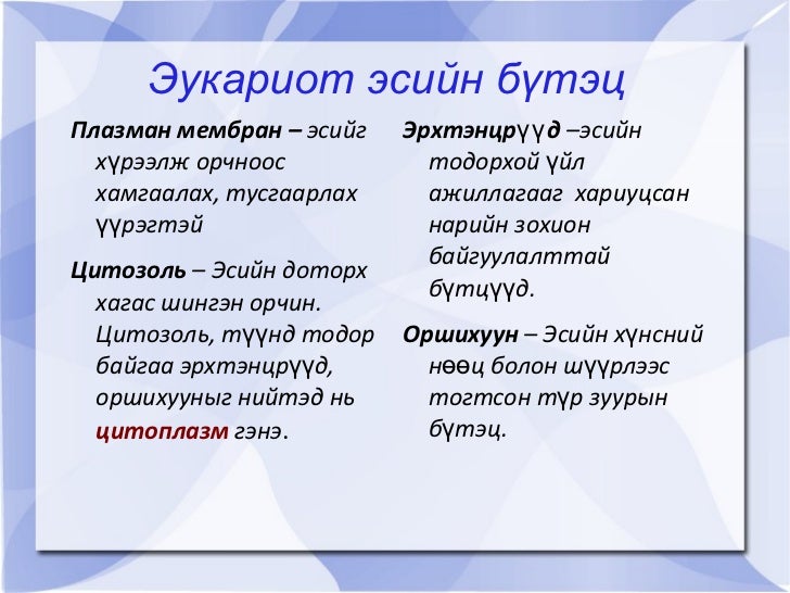 эукариот ба прокариот эс
