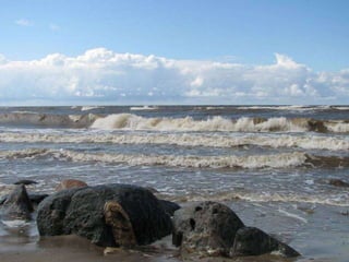 行孝要即時&古巴民謠~鴿子