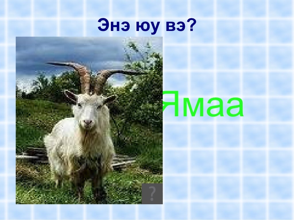 Байгалийн дуу чимээ