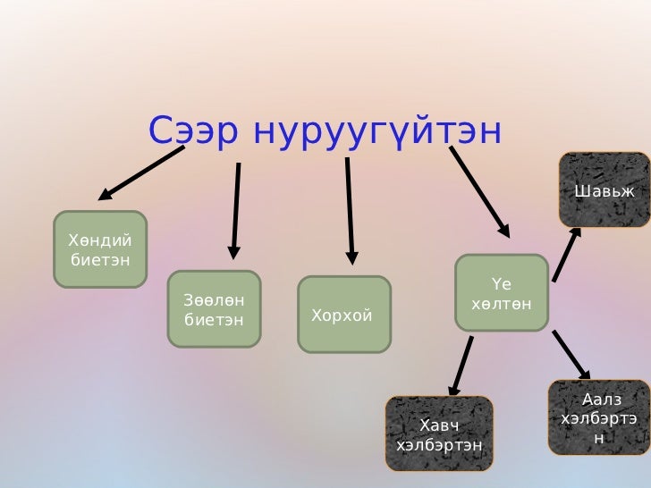 амьтны аймаг