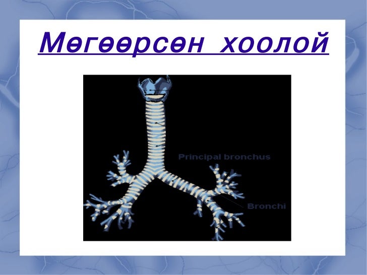 мөгөөрсөн хоолой
