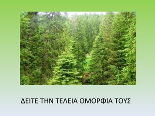 ΔΕΙΤΕ ΤΗΝ ΤΕΛΕΙΑ ΟΜΟΡΦΙΑ ΤΟΥΣ  