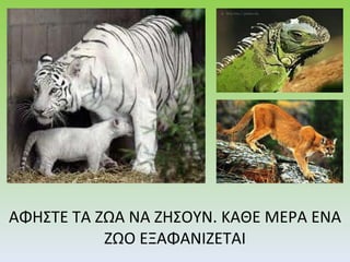 ΑΦΗΣΤΕ ΤΑ ΖΩΑ ΝΑ ΖΗΣΟΥΝ. ΚΑΘΕ ΜΕΡΑ ΕΝΑ ΖΩΟ ΕΞΑΦΑΝΙΖΕΤΑΙ 