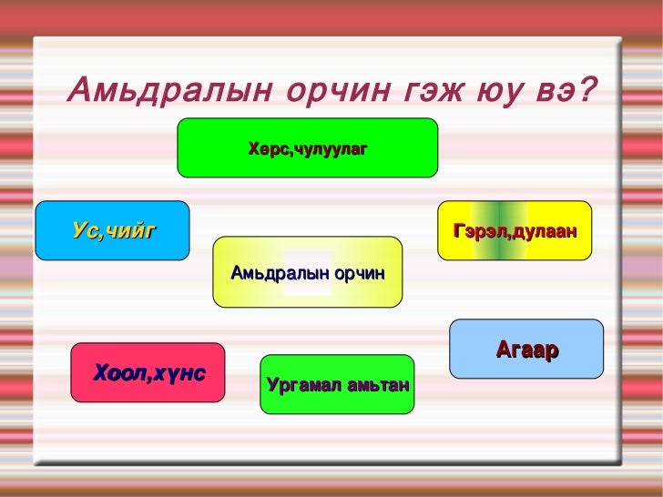 амьтдын амьдралын орчин гэж юу вэ