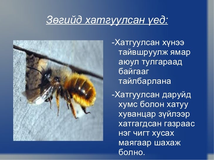 тусламж