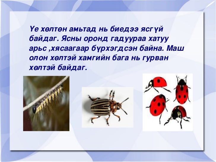 байгалийн ухаан