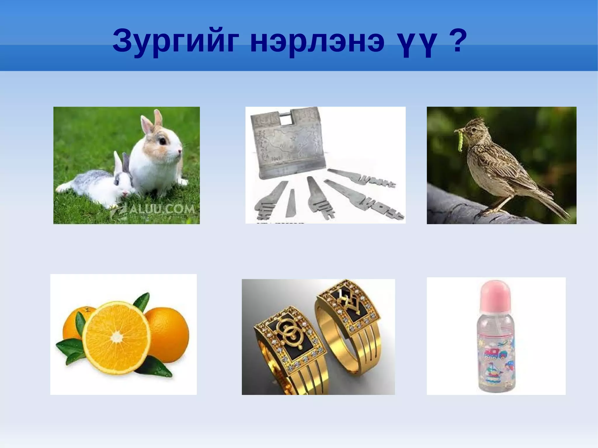 Зургийг нэрлэнэ үү ?
 