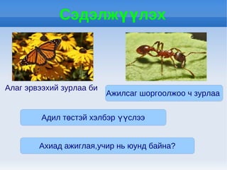 Сэдэлжүүлэх



Алаг эрвээхий зурлаа би
                          Ажилсаг шоргоолжоо ч зурлаа


         Адил төстэй хэлбэр үүслээ


        Ахиад ажиглая,учир нь юунд байна?
 