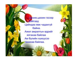 Цахим,цахим гэсээр  байгаад  Цайндаа явж чадахгүй  байна.  Ажил амралтын өдрийг  ялгахаа байлаа  Ам бүлийн хүмүүсээ  танихаа байлаа. 
