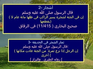 2- أشجار    قال الرسول صلى الله عليه وسلم  (  إن في الجنة لشجرة يسير الراكبفي ظلها مائة عام لا يقطعها  )    صحيح البخاري  ( 11/415)  في الرقاق   3-  ثمار الشجر في الحديقة قال الرسول صلى الله عليه وسلم  :  (  إن الرجل إذا نزع ثمرة ً منالجنة عادت مكانها أخرى )  [  رواه الطبري  .  والبزاز ]  