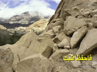 ‏ إن كنت في الصلاة ‏  فاحفظ قلبك 