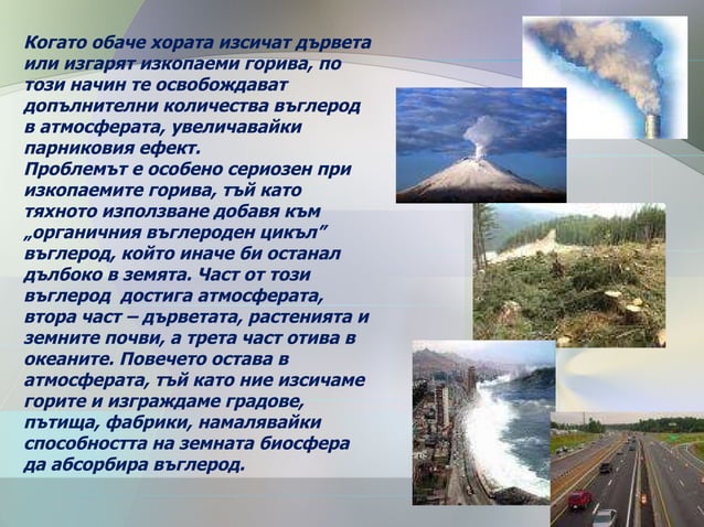 Кръговрат на азота и въглерода