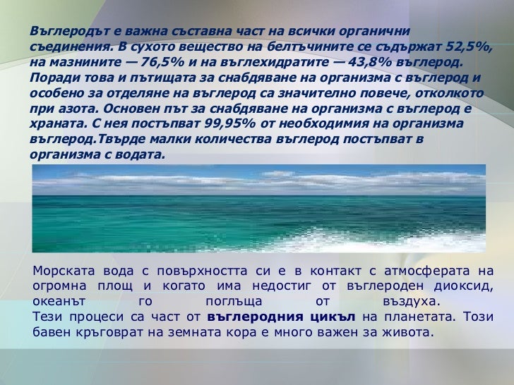 Кръговрат на азота и въглерода