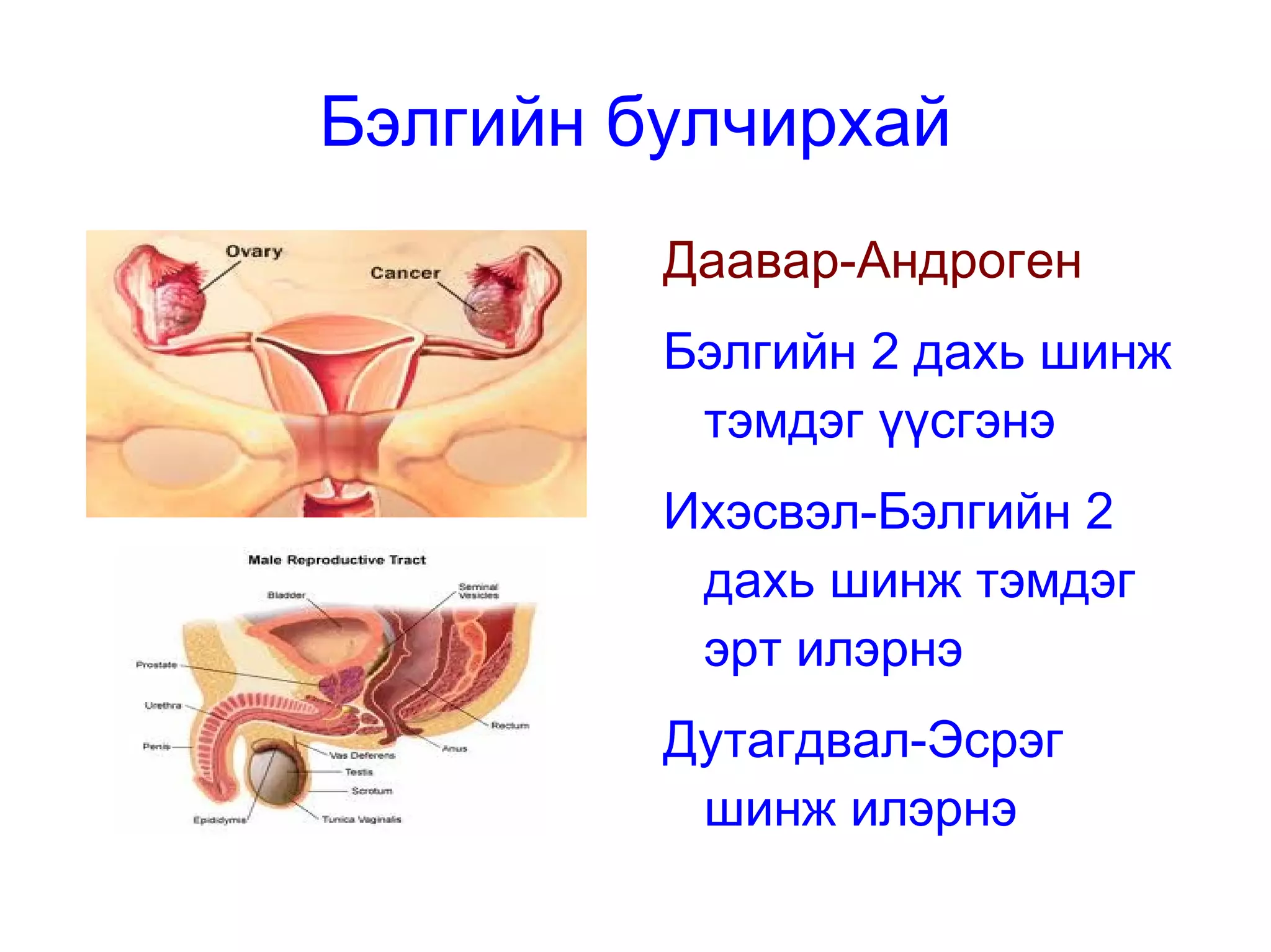 Бодисын солилцоог зохицуулдаг 