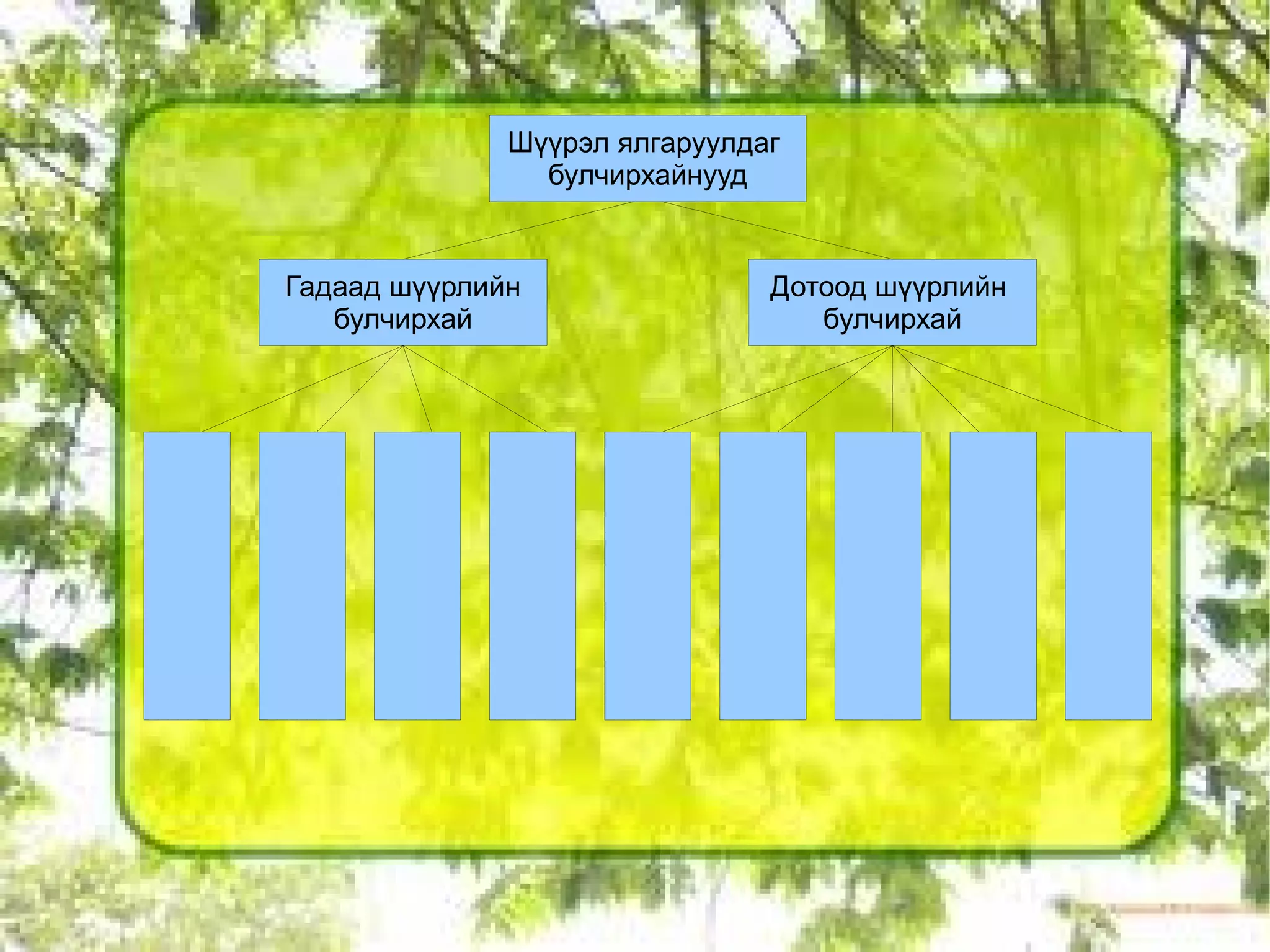 ДШБ бүтэц үүргийн онцлог 