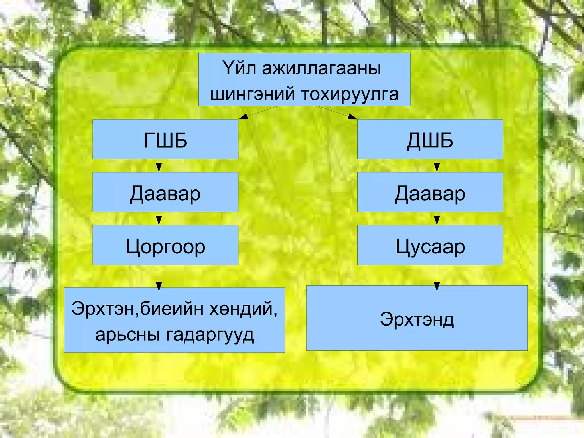 Жишээ нь: бамбай булчирхай нойр булчирхай г.м 