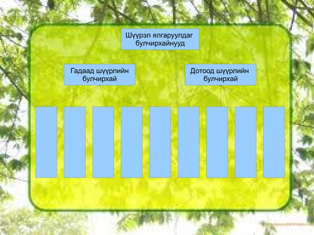 дотоод шүүрлийн булчирхай | PPT