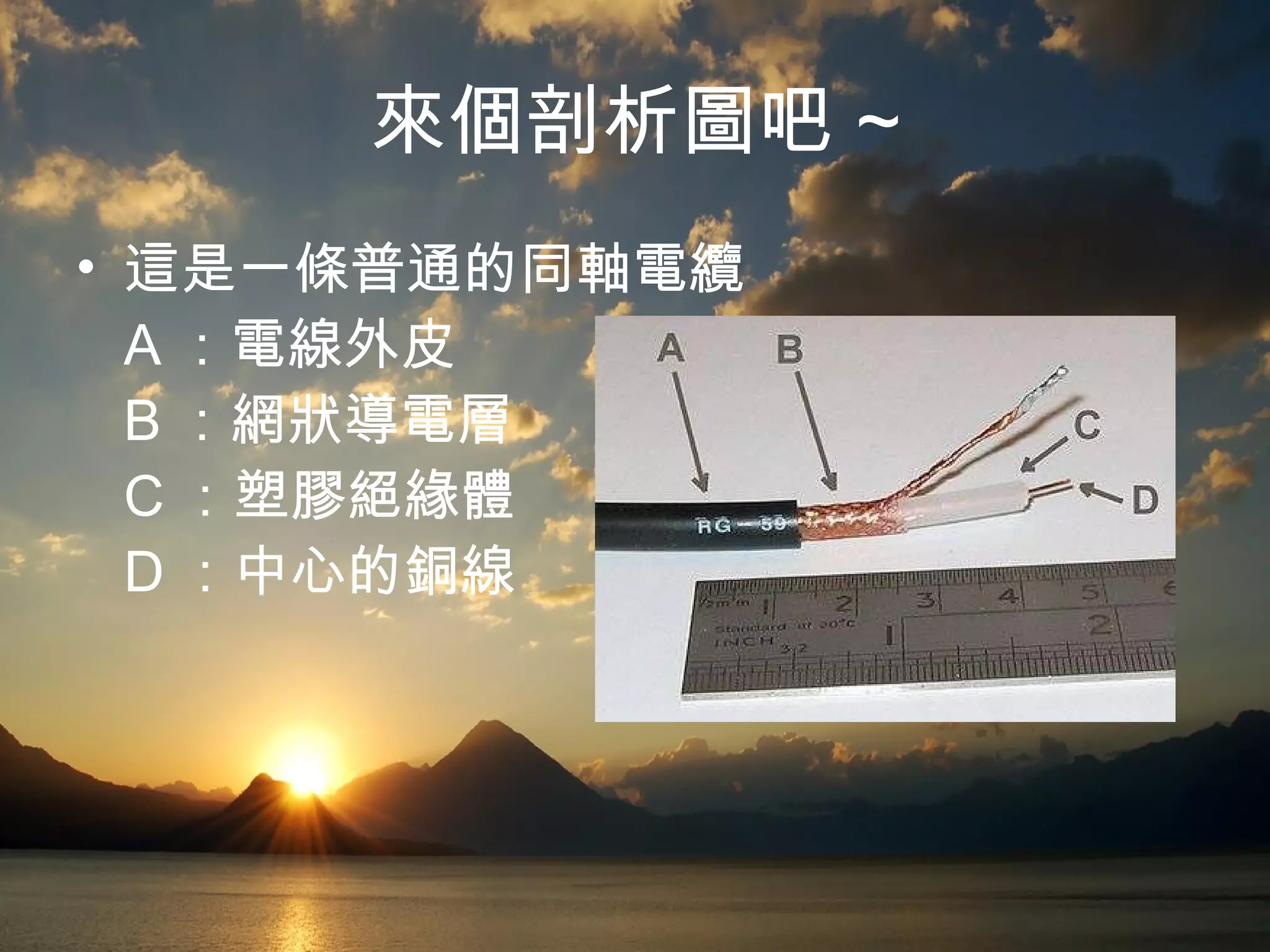 來個剖析圖吧 ~ 這是一條普通的同軸電纜 A ：電線外皮 B ：網狀導電層 C ：塑膠絕緣體 D ：中心的銅線  