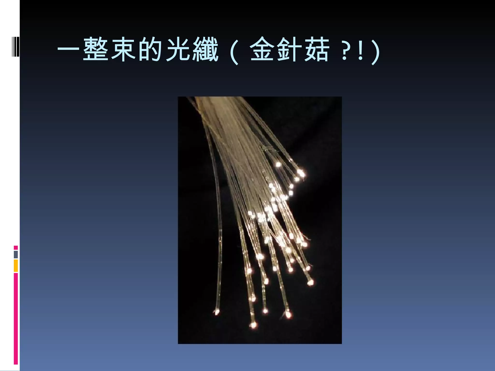 一整束的光纖 ( 金針菇 ?!) 