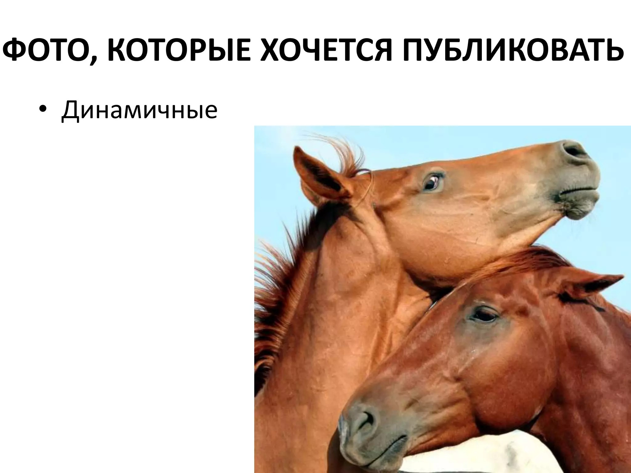 ФОТО, КОТОРЫЕ ХОЧЕТСЯ ПУБЛИКОВАТЬДинамичные