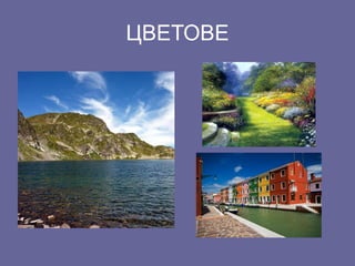 ЦВЕТОВЕ 