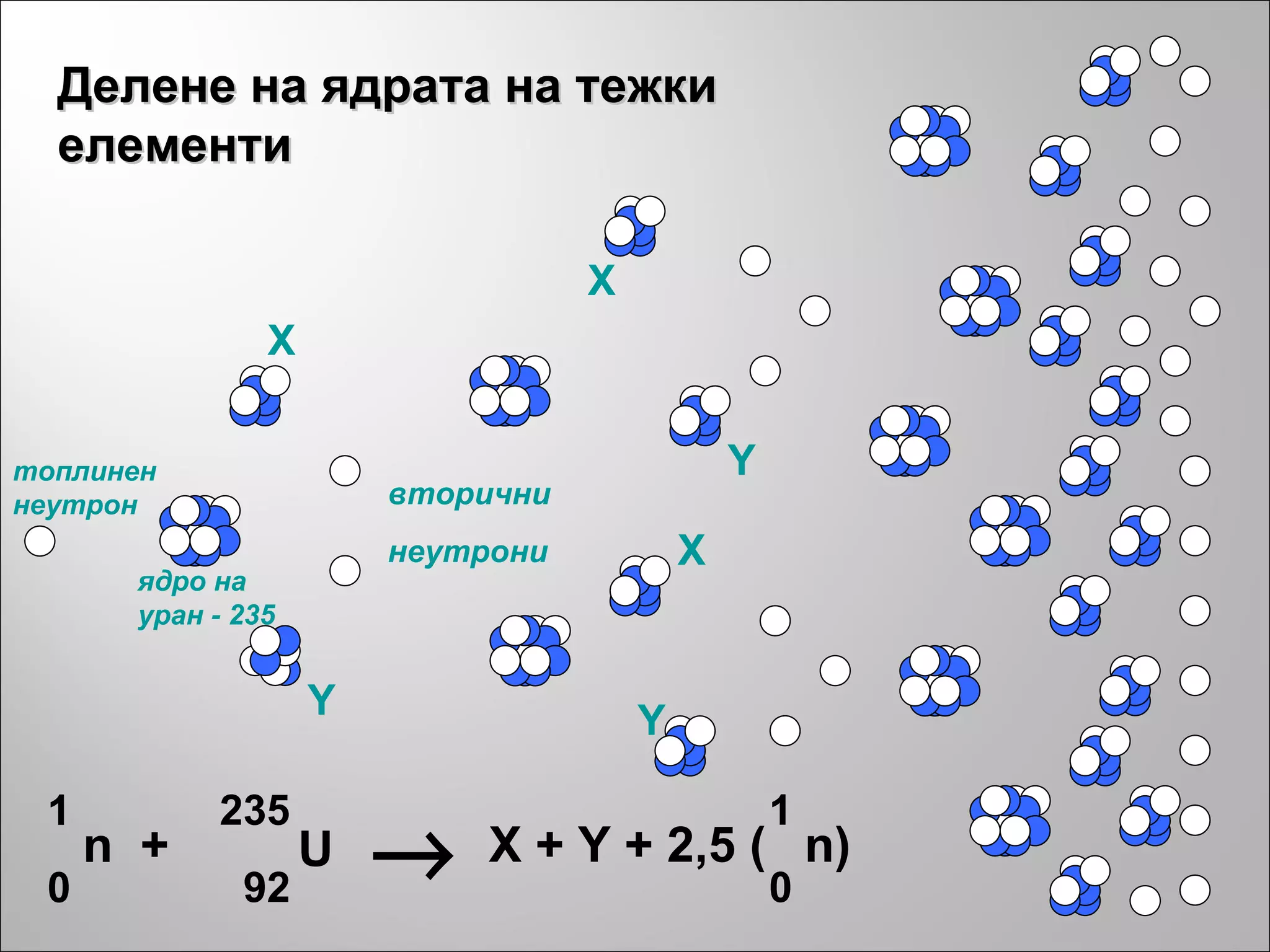 Делене на ядрата на тежки елементи топлинен   неутрон ядро на уран - 235 X Y вторични неутрони X Y Y X  n  + 1 0 U 235 92 X + Y + 2,5  ( n ) 1 0 