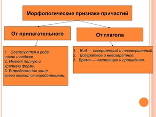 Морфологические признаки причастий От прилагательного Согласуются в роде,  числе и падеже. 2.  Имеют полную и  краткую форму. 3.  В предложении чаще  всего являются определениями. От глагола Вид — совершенный и несовершенный. Возвратное и невозвратное. Время — настоящее и прошедшее. 