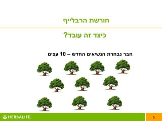 ‫חורשת הרבלייף‬

     ‫כיצד זה עובד?‬

‫חבר נבחרת הנשיאים החדש – 01 עצים‬




                                   ‫5‬
 
