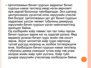 эсийн мөчлөг | PPT