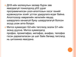 эсийн мөчлөг | PPT