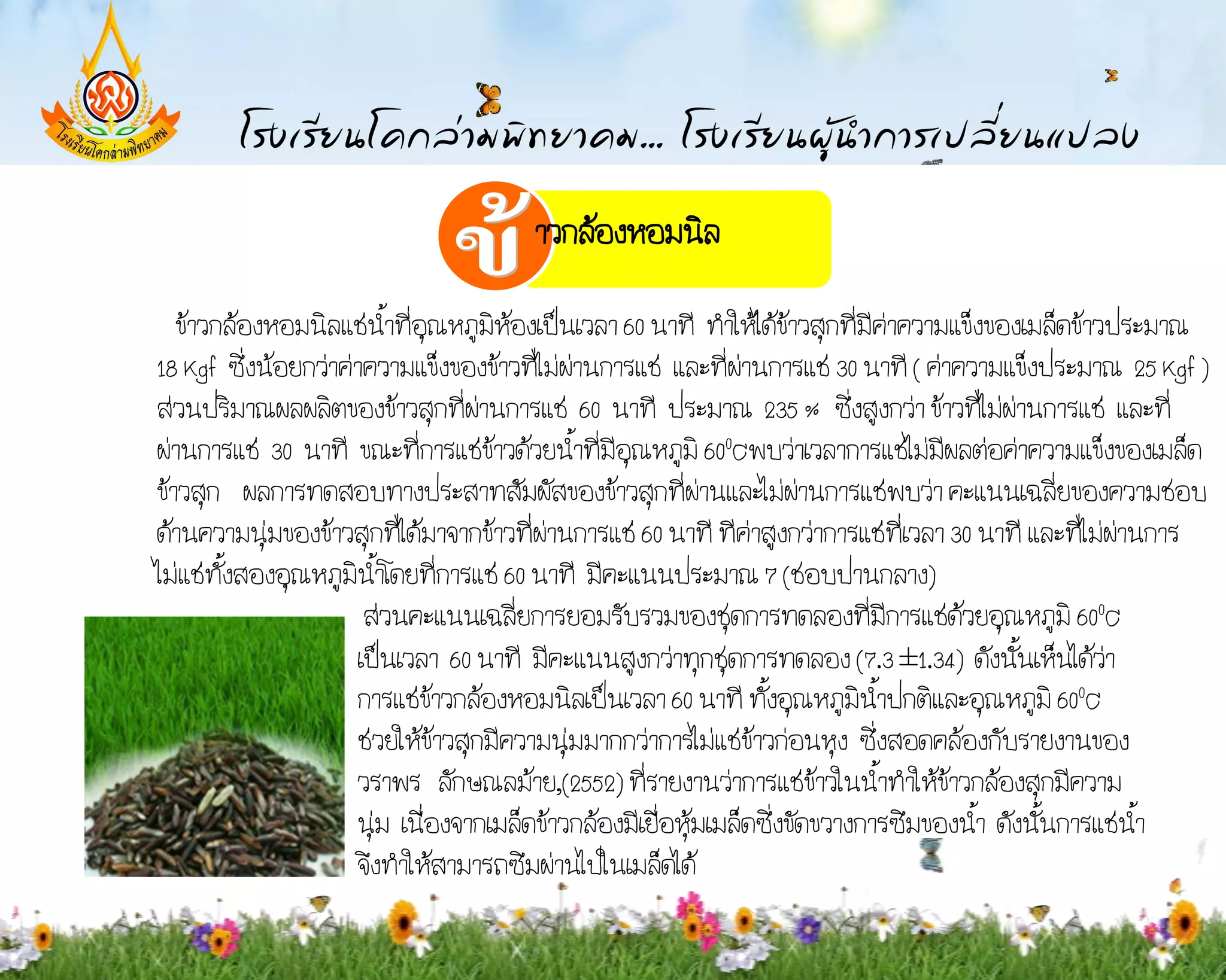 าวกล้องหอมนิล

   ข้าวกล้องหอมนิลแช่น้าที่อุณหภูมิห้องเป็นเวลา 60 นาที ท้าให้ได้ข้าวสุกที่มีค่าความแข็งของเมล็ดข้าวประมาณ
18 Kgf ซึ่งน้อยกว่าค่าความแข็งของข้าวที่ไม่ผ่านการแช่ และที่ผ่านการแช่ 30 นาที ( ค่าความแข็งประมาณ 25 Kgf )
ส่วนปริมาณผลผลิตของข้าวสุกที่ผ่านการแช่ 60 นาที ประมาณ 235 % ซึ่งสูงกว่า ข้าวที่ไม่ผ่านการแช่ และที่
ผ่านการแช่ 30 นาที ขณะที่การแช่ข้าวด้วยน้้าที่มีอุณหภูมิ 600Cพบว่าเวลาการแช่ไม่มีผลต่อค่าความแข็งของเมล็ด
ข้าวสุก ผลการทดสอบทางประสาทสัมผัสของข้าวสุกที่ผ่านและไม่ผ่านการแช่พบว่า คะแนนเฉลี่ยของความชอบ
ด้านความนุ่มของข้าวสุกที่ได้มาจากข้าวที่ผ่านการแช่ 60 นาที ทีค่าสูงกว่าการแช่ที่เวลา 30 นาที และที่ไม่ผ่านการ
ไม่แช่ทั้งสองอุณหภูมิน้าโดยที่การแช่ 60 นาที มีคะแนนประมาณ 7 (ชอบปานกลาง)
                      ส่วนคะแนนเฉลี่ยการยอมรับรวมของชุดการทดลองที่มีการแช่ด้วยอุณหภูมิ 600C
                     เป็นเวลา 60 นาที มีคะแนนสูงกว่าทุกชุดการทดลอง (7.3 ±1.34) ดังนั้นเห็นได้ว่า
                     การแช่ข้าวกล้องหอมนิลเป็นเวลา 60 นาที ทั้งอุณหภูมิน้าปกติและอุณหภูมิ 600C
                     ช่วยให้ข้าวสุกมีความนุ่มมากกว่าการไม่แช่ข้าวก่อนหุง ซึ่งสอดคล้องกับรายงานของ
                     วราพร ลักษณลม้าย,(2552) ที่รายงานว่าการแช่ข้าวในน้้าท้าให้ข้าวกล้องสุกมีความ
                     นุ่ม เนื่องจากเมล็ดข้าวกล้องมีเยื่อหุ้มเมล็ดซึ่งขัดขวางการซึมของน้้า ดังนั้นการแช่น้า
                     จึงท้าให้สามารถซึมผ่านไปในเมล็ดได้
 