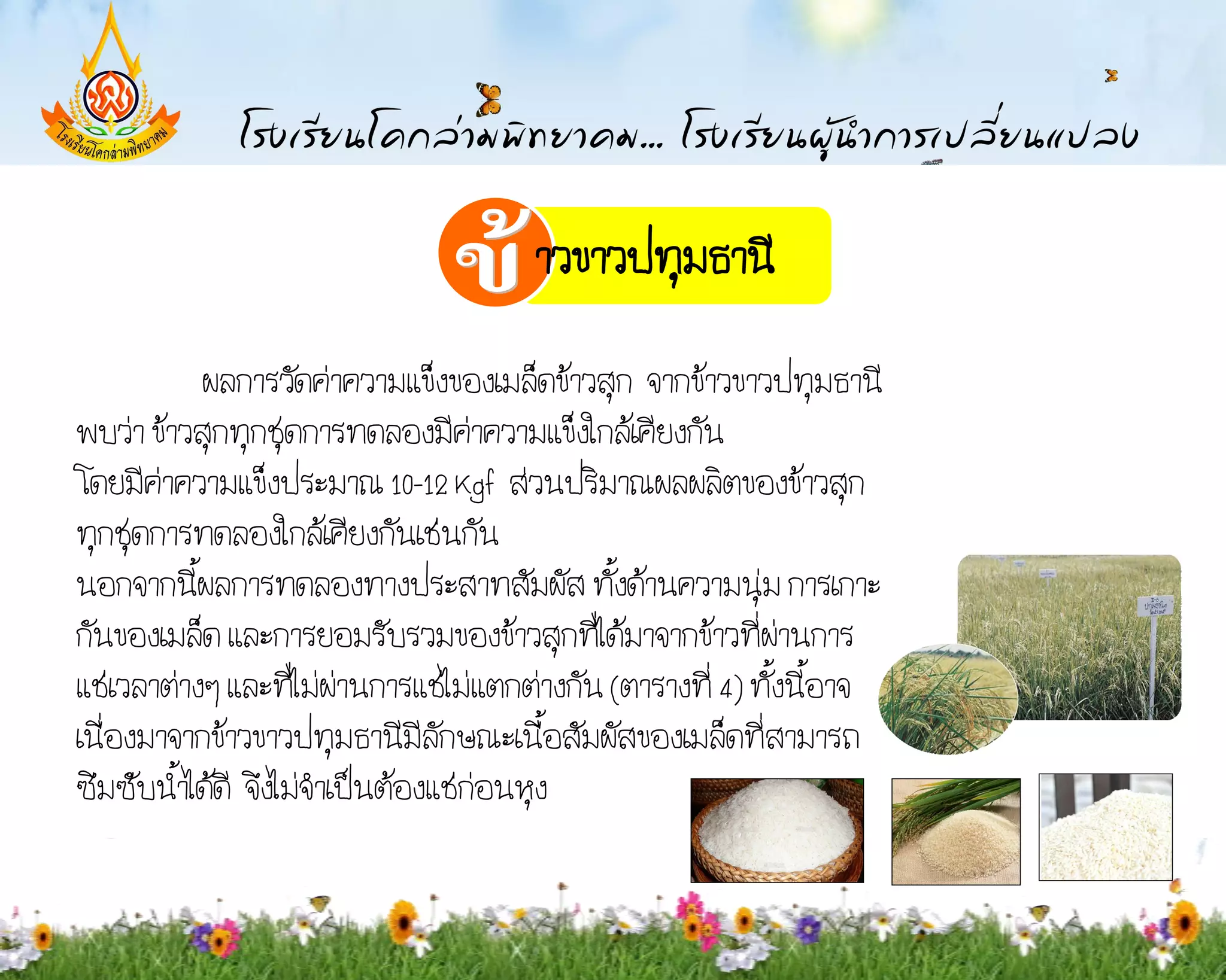 าวขาวปทุมธานี

           ผลการวัดค่าความแข็งของเมล็ดข้าวสุก จากข้าวขาวปทุมธานี
พบว่า ข้าวสุกทุกชุดการทดลองมีค่าความแข็งใกล้เคียงกัน
 โดยมีค่าความแข็งประมาณ 10-12 Kgf ส่วนปริมาณผลผลิตของข้าวสุก
ทุกชุดการทดลองใกล้เคียงกันเช่นกัน
นอกจากนี้ผลการทดลองทางประสาทสัมผัส ทั้งด้านความนุ่ม การเกาะ
กันของเมล็ด และการยอมรับรวมของข้าวสุกที่ได้มาจากข้าวที่ผ่านการ
แช่เวลาต่างๆ และที่ไม่ผ่านการแช่ไม่แตกต่างกัน (ตารางที่ 4) ทั้งนี้อาจ
เนื่องมาจากข้าวขาวปทุมธานีมีลักษณะเนื้อสัมผัสของเมล็ดที่สามารถ
ซึมซับน้้าได้ดี จึงไม่จ้าเป็นต้องแช่ก่อนหุง
 