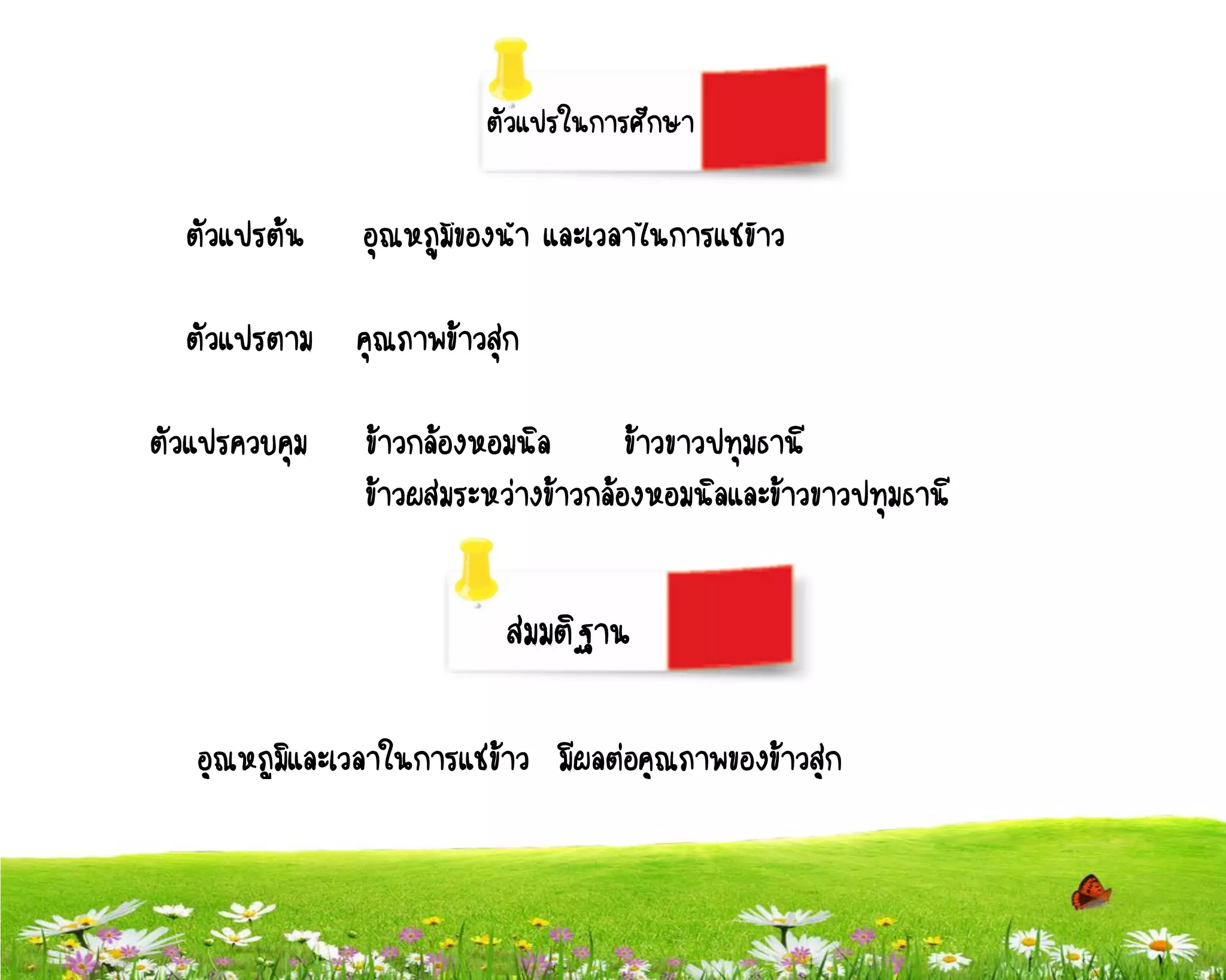 ตัวแปรในการศึกษา

  ตัวแปรต้น     อุณหภูมิของน้า และเวลาในการแช่ข้าว

  ตัวแปรตาม    คุณภาพข้าวสุก

ตัวแปรควบคุม    ข้าวกล้องหอมนิล       ข้าวขาวปทุมธานี
                ข้าวผสมระหว่างข้าวกล้องหอมนิลและข้าวขาวปทุมธานี


                           สมมติฐาน

   อุณหภูมิและเวลาในการแช่ข้าว มีผลต่อคุณภาพของข้าวสุก
 