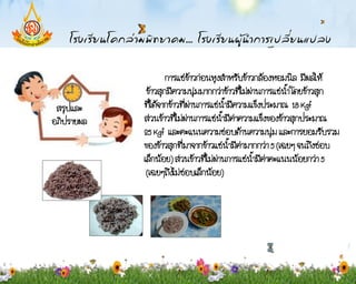 การแช่ขาวก่อนหุงส้าหรับข้าวกล้องหอมนิล มีผลให้
                             ้
             ข้าวสุกมีความนุ่มมากกว่าข้าวที่ไม่ผ่านการแช่น้า โดยข้าวสุก
 สรุปและ    ที่ได้จากข้าวที่ผ่านการแช่น้ามีความแข็งประมาณ 18 Kgf
อภิปรายผล   ส่วนข้าวที่ไม่ผ่านการแช่น้ามีค่าความแข็งของข้าวสุกประมาณ
            25 Kgf และคะแนนความชอบด้านความนุ่ม และการยอมรับรวม
            ของข้าวสุกที่มาจากข้าวแช่น้ามีค่ามากกว่า 5 (เฉยๆ จนถึงชอบ
            เล็กน้อย) ส่วนข้าวที่ไม่ผ่านการแช่น้ามีค่าคะแนนน้อยกว่า 5
             (เฉยๆถึงไม่ชอบเล็กน้อย)
 