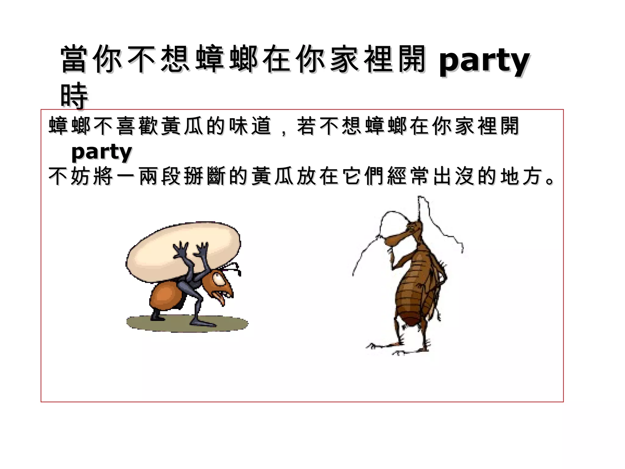 當你不想蟑螂在你家裡開 party 時  蟑螂不喜歡黃瓜的味道，若不想蟑螂在你家裡開 party 不妨將一兩段掰斷的黃瓜放在它們經常出沒的地方。  