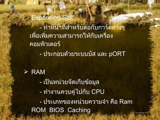 Expansion Slot -  ทำหน้าที่สำหรับต่อกับการ์ดต่างๆเพื่อเพิ่มความสามารถให้กับเครื่องคอมพิวเตอร์ -  ประกอบด้วยระบบบัส และ  pORT RAM -  เป็นหน่วยจัดเก็บข้อมูล -  ทำงานควบคู่ไปกับ  CPU  -  ประเภทของหน่วยความจำ คือ  Ram  ROM  BIOS  Caching 