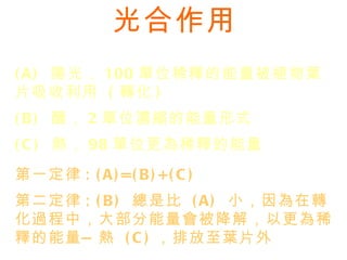 光合作用 (A)  陽光， 100 單位稀釋的能量被植物葉片吸收利用  ( 轉化 ) (B)  醣， 2 單位濃縮的能量形式 (C)  熱， 98 單位更為稀釋的能量 第一定律 :  (A)=(B)+(C) 第二定律 :  (B)  總是比  (A)  小，因為在轉化過程中，大部分能量會被降解，以更為稀釋的能量 — 熱  (C) ，排放至葉片外 