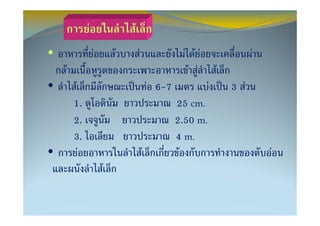 F               F
•                 F       F       F                 F FF                  F
    F                                                F F        F
•       F                                 F 6-7             F       3 F
        1.                                        25 cm.
        2.                                        2.50 m.
        3.                                        4 m.
•         F                           F            F                          F
                      F
 