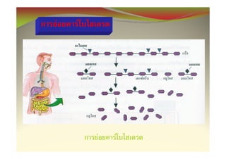 F   F




        F   F
 