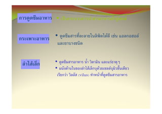 •                                         F F   F

    •                             F           F         F



F   •                                     F
    •       F         F       F       F
        F       (vilus)   F
 