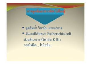 F   F


•                     F
•               Escherichia coli
    F       F      K B12
        ,
 