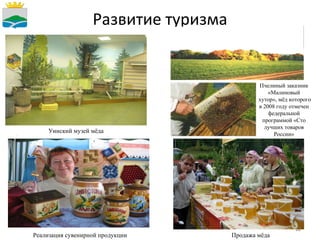 Развитие туризма Пчелиный заказник «Малиновый хутор», мёд которого в 2008 году отмечен федеральной программой «Сто лучших товаров России» Реализация сувенирной продукции Открытие районного праздника  Уинский музей мёда Продажа мёда 