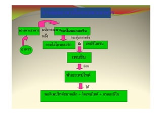 F

        F
            F
                &




                    F

                            F
                        F
    F           +               F+
 