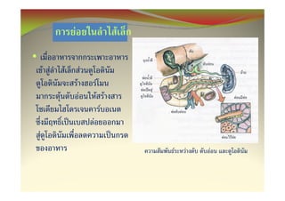 F                         F
•
        F F       F               F
                          F               F
              F               F           F F
                                            F
                                      F
    F
                                                    F   F   F
 