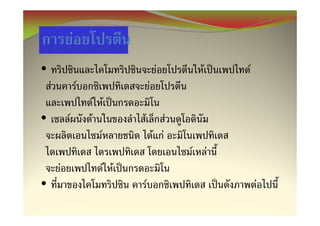 F
•                                                    F            F       F
    F               F                           F
                            F F
•           F           F               F                 F
                              F                     F F
                                                              F       F
        F                         F F
•                                           F                                 F
 