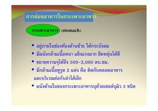 F
                             (stomach)
                              stomach)


•       F               F     F   F   F   F
•                   F                                   F       F
•                             F 500-2,000         . .
•           F                  2 F
                            F     F
•               F                             F             F       3
 