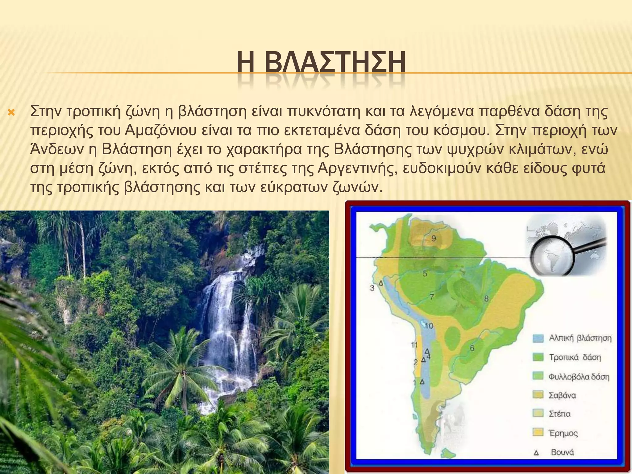 Η βλΑστησηΣτην τροπική ζώνη η βλάστηση είναι πυκνότατη και τα λεγόμενα παρθένα δάση της περιοχής του Αμαζόνιου είναι τα πιο εκτεταμένα δάση του κόσμου. Στην περιοχή των Άνδεων η Βλάστηση έχει το χαρακτήρα της Βλάστησης των ψυχρών κλιμάτων, ενώ στη μέση ζώνη, εκτός από τις στέπες της Αργεντινής, ευδοκιμούν κάθε είδους φυτά της τροπικής βλάστησης και των εύκρατων ζωνών.
