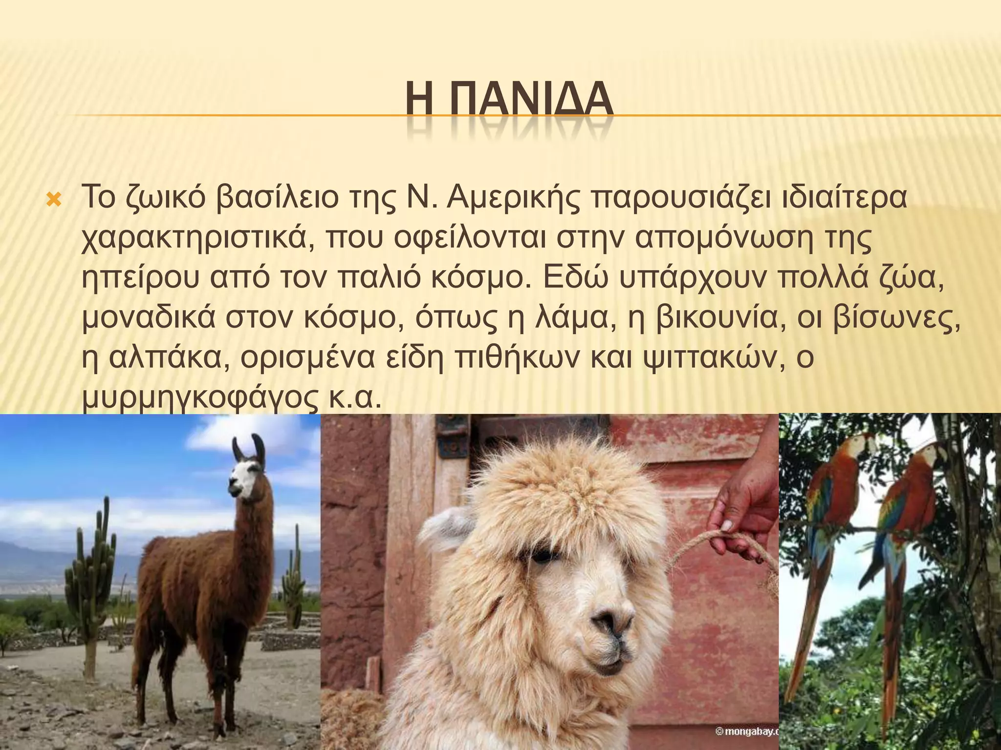 η πανιδαΤο ζωικό βασίλειο της Ν. Αμερικής παρουσιάζει ιδιαίτερα χαρακτηριστικά, που οφείλονται στην απομόνωση της ηπείρου από τον παλιό κόσμο. Εδώ υπάρχουν πολλά ζώα, μοναδικά στον κόσμο, όπως η λάμα, η βικουνία, οι βίσωνες, η αλπάκα, ορισμένα είδη πιθήκων και ψιττακών, ο μυρμηγκοφάγος κ.α.