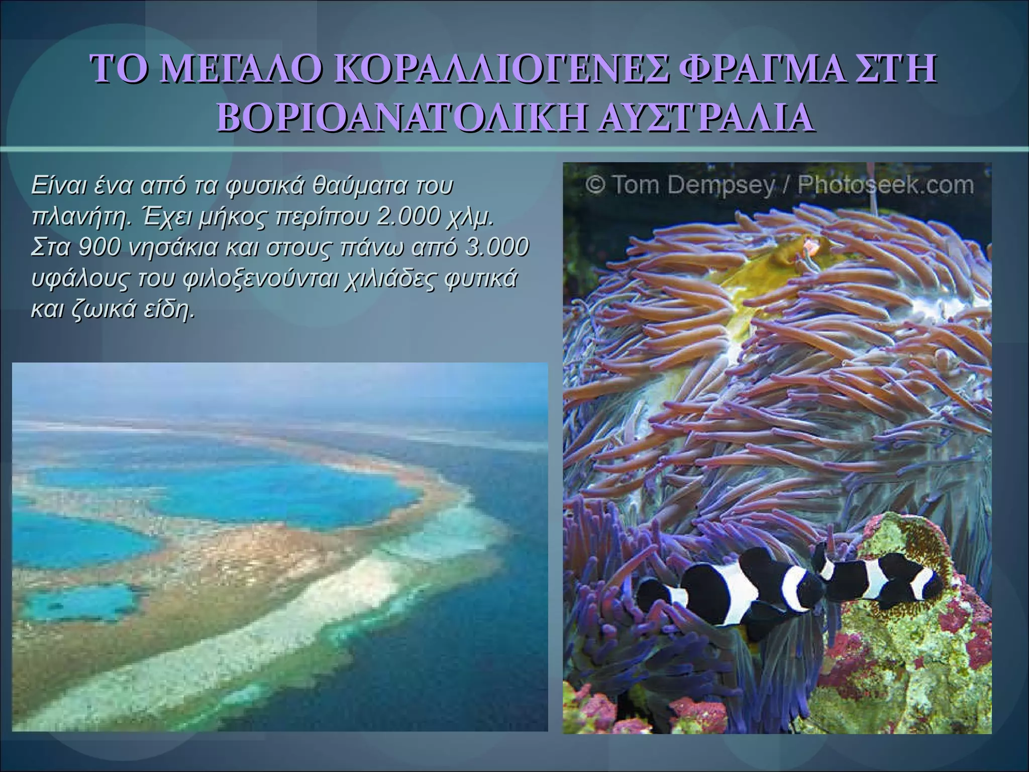 ΤΟ ΜΕΓΑΛΟ ΚΟΡΑΛΛΙΟΓΕΝΕΣ ΦΡΑΓΜΑ ΣΤΗ ΒΟΡΙΟΑΝΑΤΟΛΙΚΗ ΑΥΣΤΡΑΛΙΑ Είναι ένα από τα φυσικά θαύματα του πλανήτη. Έχει μήκος περίπου 2.000 χλμ. Στα 900 νησάκια και στους πάνω από 3.000 υφάλους του φιλοξενούνται χιλιάδες φυτικά και ζωικά είδη.  